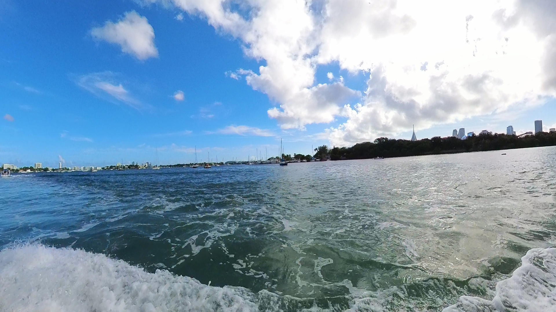 A person takes a photo of Jungle Island from the Sightseeing tour. 